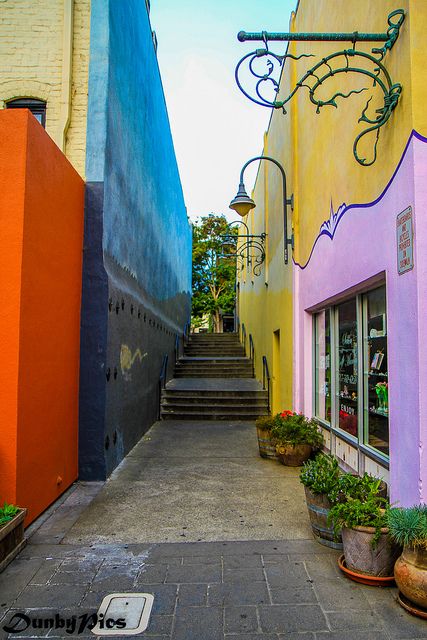 Colors in the back alleys of Petaluma, California, US Camping Trailer For Sale, California Beach Camping, Petaluma California, Napa Trip, West Coast Travel, Yellowstone Camping, Bodega Bay, Bay Area California, Point Reyes