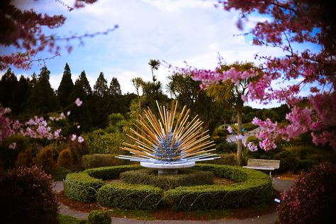 Location: Botanic Gardens, Auckland Hotel Luxury, Hotel Booking, Botanic Gardens, Cheap Hotels, City Council, Luxury Hotels, Hotel Deals, Botanical Garden, Auckland