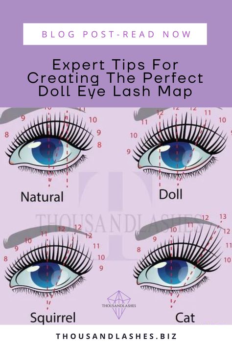 Car Eye Lash Extensions Map, Lash Extension Doll Eye, Lash Extensions Styles Doll Eye, Classic Eyelash Extensions Doll Eye, Lash Extensions For Hooded Eyes Map, Open Eye Lash Mapping, Open Eye Classic Lash Extensions Mapping, Lash Extensions Open Eye Style, Open Doll Eye Lash Extensions