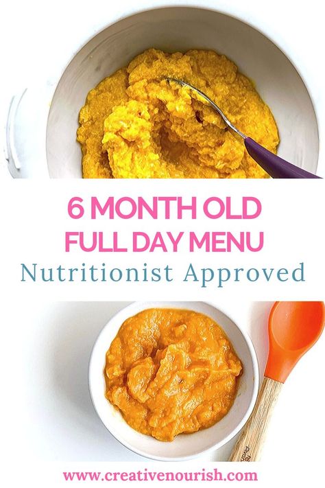 Recipes For 6 Month Old, 6 Month Old Food, Meal Plan For Toddlers, Baby Meal Plan, 6 Month Baby Food, Free Meal Planner, Baby Breakfast, Baby Recipes, Sample Meal Plan