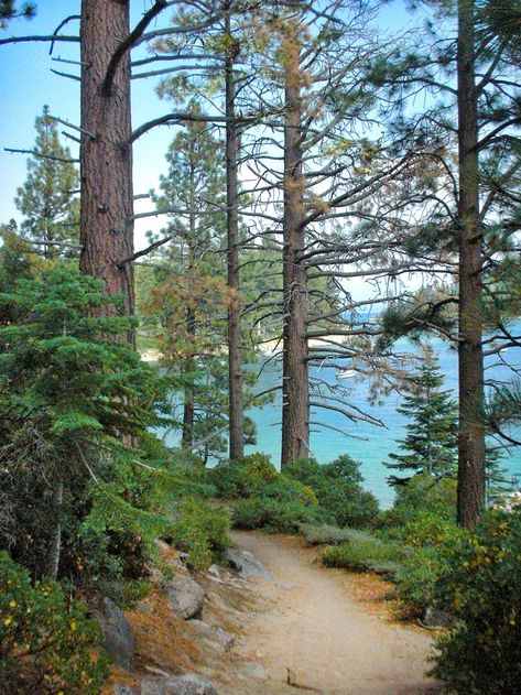 Feb 4, 2016 - Emerald Bay on the Rubicon Trail, S Lake Tahoe Lake Tahoe Trip, Rubicon Trail, Lake Tahoe Summer, Tahoe Lake, Tahoe Vacation, Tahoe Trip, Lake Tahoe Vacation, The Joshua Tree, California Camping