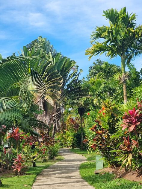 lush greenery around path Coral Coast Fiji, Fiji Islands Aesthetic, Fiji Aesthetic, Fijian People, Suva Fiji, Fiji Vacation, Place To Travel, Fiji Travel, Cultural Dance