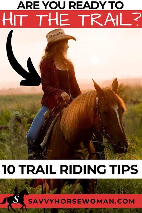 Trail Riding Tips on Horseback: 10 Savvy Tips - Savvy Horsewoman George Morris, Trail Riding Horses, Horseback Riding Tips, Small Barns, Horse Lessons, Riding Tips, Saddle Rack, Diy Horse, Trail Ride