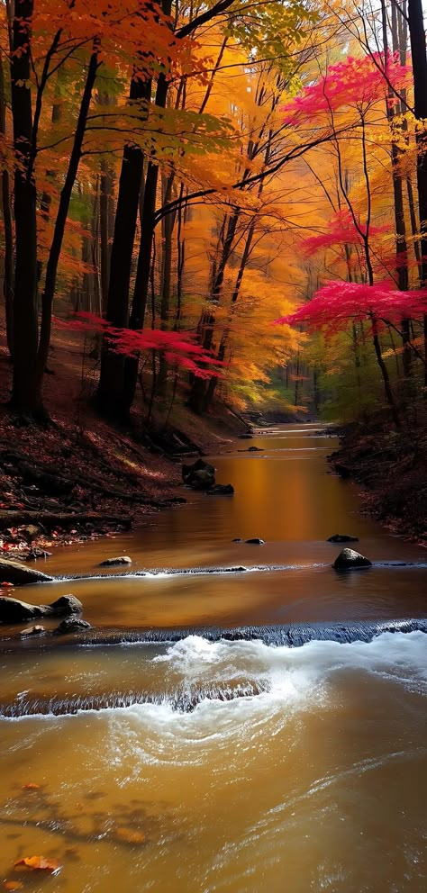 Autumn Photography Nature Landscapes, Autumn Landscape Photography, Fall Season Pictures, Beautiful Nature Wallpaper Hd, Iphone Wallpaper Landscape, Autumn Nature, Pretty Landscapes, Autumn Scenes, Autumn Scenery