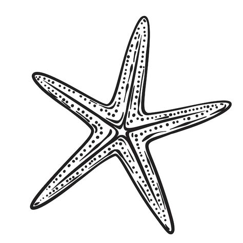 Sea Star Drawing, Seastar Tattoo, Sea Star Tattoo, Math Tattoo, Starfish Illustration, Holiday Tattoo, Copic Marker Drawings, Starfish Tattoo, Fish Sketch