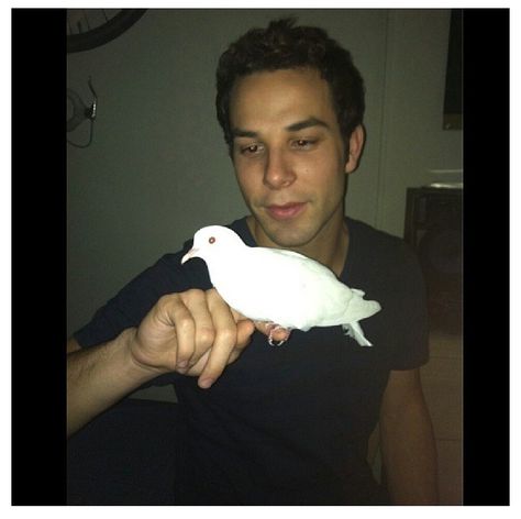 Skylar Astin, Matthew Gray Gubler, Jesse Swanson, The Dove, Matthew Gray, Ideal Man, Pitch Perfect, Smash Cake, Dream Guy