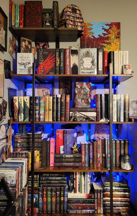 Fantasy, Sci-Fi, Young Adult, New Adult Bookshelf Idea with Bookish themed items placed throughout shelves and along back wall Fantasy Bookcase Aesthetic, Bookshelves Fantasy Books, Fantasy Themed Home Library, Fantasy Bookshelf Ideas, Dnd Bookshelf, Geek Bookshelf, Fantasy Bookshelf Aesthetic, Spicy Bookshelf, Book Nerd Room