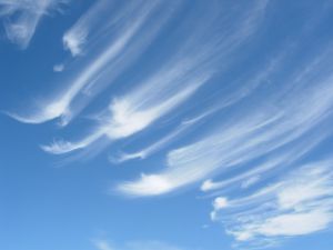 Cirrus clouds are like wisps or feathers. When you see them you will know that the weather will be good enough to run around outside and do daily activities. Cirrus clouds are found high up in the ... Clouds Types, Spiritual Art Painting, Weather For Kids, Cirrus Cloud, Cloud Type, Sky Gazing, Watercolor Landscapes, Cloud Photos, Spyro The Dragon