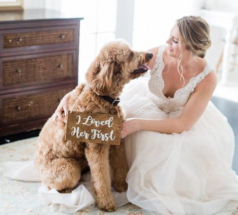 Save The Date Dog, Rustic Wooden Wedding Signs, My Humans Are Getting Married, How To Dress For A Wedding, Wooden Wedding Signs, Wedding Pets, Small Intimate Wedding, Etsy Wedding, Dog Wedding