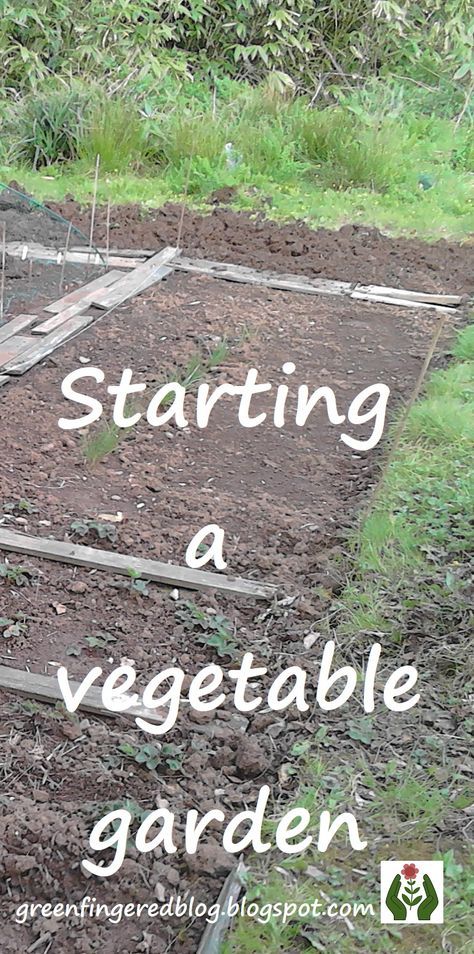 Allotment Ideas Inspiration Raised Beds, Veg Patch Design, Garden Vegetable Patch Ideas, Vegetable Patch Design, Veg Plot Ideas, Home Allotment Ideas, Allotment Layout Uk, Diy Allotment Ideas, Allotment Path Ideas