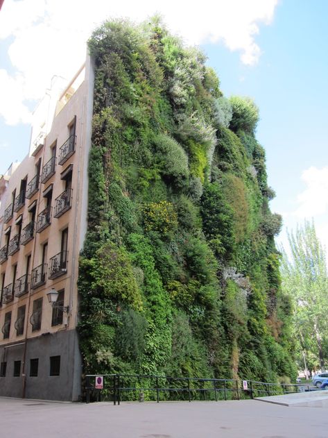 Vertical Green Wall, Environmental Architecture, Garden Nails, Vertical Garden Design, Green Facade, Vertical Garden Wall, Balcony Plants, Garden Architecture, Green Architecture