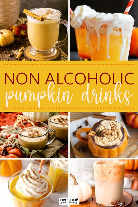 Non Alcoholic Pumpkin Drink Recipes Non Alcoholic Pumpkin Drinks, Pumpkin Drinks Nonalcoholic, Pumpkin Spice Mock Tail, Fall Drinks Nonalcoholic Crockpot, Pumpkin Mocktail Recipe, Fall Drink Recipes Nonalcoholic, Fall Non Alcoholic Drinks, Non Alcoholic Fall Drinks, Fall Mocktail Non Alcoholic