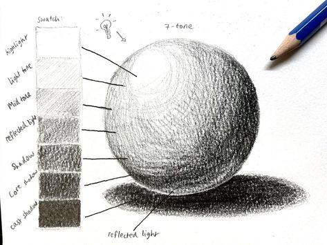 Tonal Values and Contrast for Beginners – Etchr Studio Croquis, Value Drawing, Drawing Apple, Art Learning, Pencil Drawings For Beginners, Shadow Drawing, Geometric Shapes Art, Creation Art, Art Basics