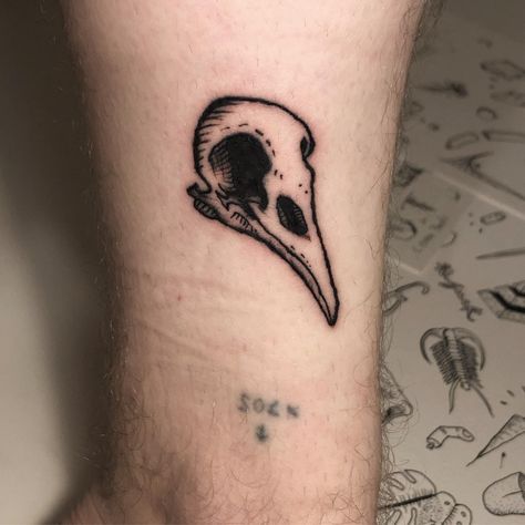 I started my apprenticeship this month heres my first tattoo on myself along with an amateur one I did 5 years ago. Keep updated on my Instagram! @Kris.Maidment Raven Skull Tattoo, Bird Skull Tattoo, Goth Tattoo, Crow Skull, Raven Skull, R Tattoo, Bird Skull, Professional Tattoo, Tattoos Ideas