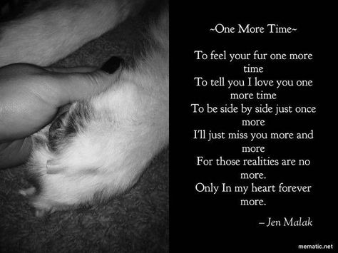 Missing My Dog, Losing A Dog Quotes, Pet Quotes Cat, Losing A Pet Quotes, Dog Heaven Quotes, Dog Poetry, Pet Poems, Miss My Dog, Dog Poems