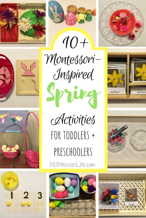 Practical Life Montessori Kindergarten, Bunny Montessori Activities, Spring Toddler Learning Activities, May Practical Life Montessori, Spring Montessori Shelf, Spring Language Activities For Toddlers, Montessori Ideas Preschool, Montessori Flower Arranging, Spring Montessori Activities Preschool