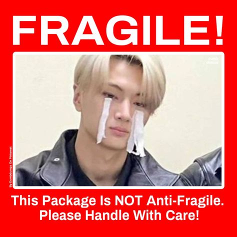 #enhypen #enha #jay #fragile #handlewithcare #kpop #kpopsticker #bnstwt #bns #printable #dumbdumpz Kpop Meme Mail Sticker, K Pop Stickers Printable Enhypen, Jay Mail Sticker, Enhypen Mail Stickers Printable, Enhypen Freebies Printable, Kpop Freebies Printable Enhypen, Kpop Stickers Printable Enhypen, Kpop Mail Sticker, Journal Printouts