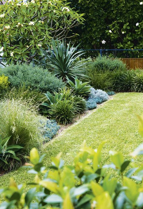 Coastal meets Australian bushland in this Sydney garden Modern Coastal Garden Australia, Coastal Tropical Garden, Coastal Gardens Australia, Australian Tropical Garden, Backyard Australia, Island Landscaping, Japanese Maple Tree Landscape, Boat Planter, Maple Tree Landscape