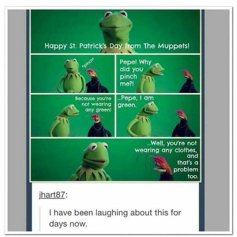 Muppet humor Funny Mistranslations, Dc Memes, Memes Humor, Pure Joy, The Frog, Tumblr Funny, Funny Laugh, Funny Things, Funny Comics