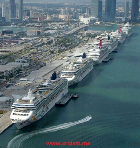 Port of Miami Cruise Tips, Cruise Liner, Cruise Destinations, Cruise Port, Carnival Cruise, Cruise Ships, Cruise Travel, Cruise Vacation, Miami Florida