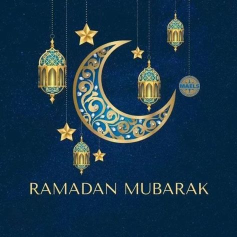 Wishing everyone a blessed Ramadan! May this month be filled with peace, joy, and reflection for all. Ramadan Kareem🌙 Ya Hussain Wallpaper, Expeditionary Learning, Ramadan Wishes, Ramadan Activities, Mubarak Ramadan, Eid Cards, Ramadan Mubarak, Ramadan Kareem, Holiday Celebration