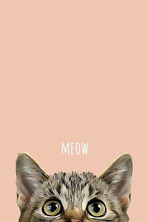 Cat Poster Aesthetic, Tabby Cat Wallpaper, Tabby Cat Aesthetic, Tabby Cat Drawing, Tabby Cat Illustration, Pets Images, Cat Tattoo Design, Cats Tattoo, Mask Cat