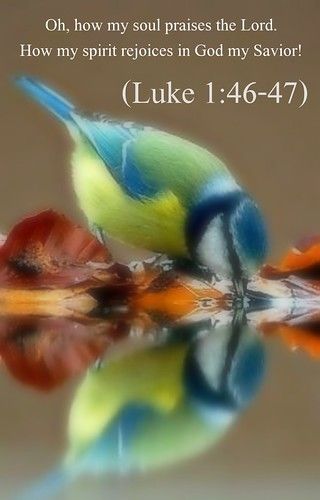 Have A Blessed Weekend, A Blessed Weekend, Blessed Weekend, Luke 1, Scripture Pictures, Christian Bible Verses, Prayer Warrior, Bible Scripture, Christian Bible