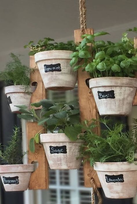 Indoor Herb Garden Ideas, Hanging Herb Gardens, Diy Planters Indoor, Window Herb Garden, Herb Garden Ideas, Herb Garden Pallet, Herb Garden Planter, Outdoor Herb Garden, Hanging Herb Garden