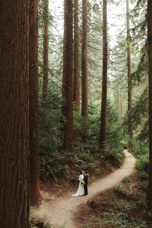 Color Theory Design, Redwood Deck, Hoyt Arboretum, Redwood Forest Wedding, Portland Wedding Venues, Redwood Decking, Redwood Wedding, Wedding Venues Oregon, Portland Oregon Wedding