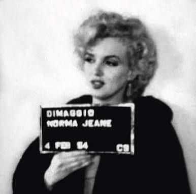 Marilyn Monroe's mugshot, after being arrested for driving too slow and without a license. (1954) 🚨 Celebrity Mugshots, Marlo Thomas, Grace Slick, Joe Dimaggio, Ann Margret, Marilyn Monroe Photos, Norma Jean, Norma Jeane, Bruce Willis