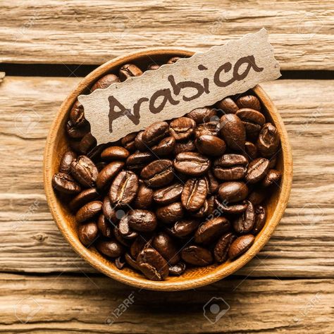 Do you know what Arabica Coffee Beans are? #coffee #cafe #kitchen #arabica #beans #facts Costa Rica Coffee, Community Coffee, Bean Varieties, Coffee History, Love Cafe, Coffea Arabica, Arabica Coffee Beans, Coffee Plant, Green Coffee Bean