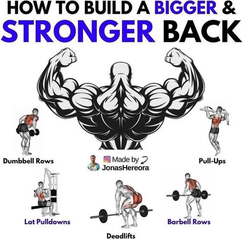 Back Workout Challenge, Push Pull Workout, Back Workout Routine, Traps Workout, Back Day Workout, Good Back Workouts, Bodybuilding Workouts Routines, Work Out Routines Gym, Muscle Definition