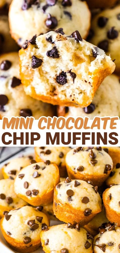 Easy Chocolate Chip Muffins, Bakery Style Chocolate Chip Muffins, Chocolate Chip Mini Muffins, Mini Muffin Tin Recipes, Chocolate Chip Muffins Recipe, Mini Muffin Recipe, Mini Chocolate Chip Muffins, Tin Recipes, Chocolate Chip Muffin Recipe