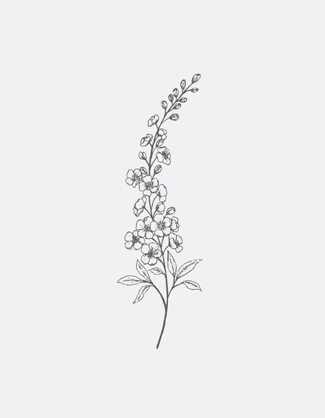 Delphinium Tattoo Black And White, Small Delphinium Tattoo, Larkspur Line Art, Larkspur Fine Line Tattoo, Delphinium Embroidery, Delphinium Flower Drawing, Delphinium Illustration, Delphinium Flower Tattoo, Delphinium Tattoo