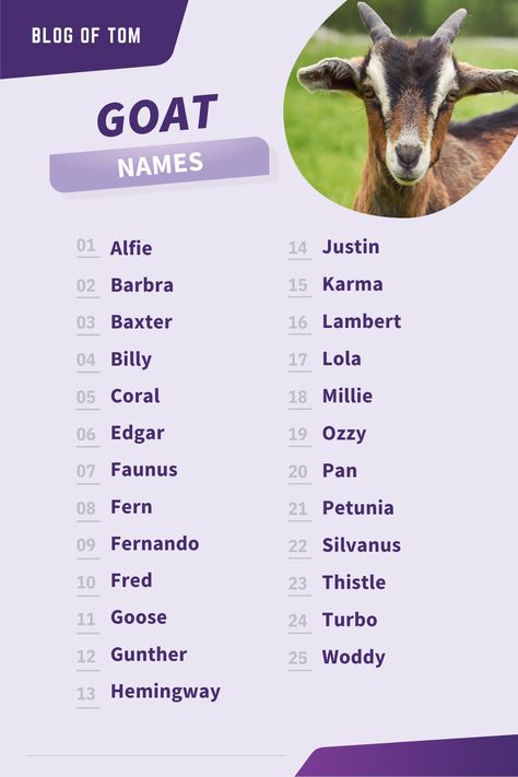 Looking for a unique name for your goat? We've got you covered! This list includes both funny and cute names for goats of all genders. So whether you're looking to get creative or just need a good laugh, we've got the perfect goat name for you. #goatnames Goat Names List Of, Farm Names Unique, Cute Funny Names, Goat Enclosure, Goat Names, 4h Goats, Farm Names, Animals Name List, Goat Ideas