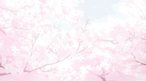 Pink Nitro Banner, Pink Gifs Discord, Pink Aesthetic Banner Gif, Banner For Discord Gif Cute, Pink Gif Aesthetic, Pink Aesthetic Discord Banner Gif, Pink Banner Discord Gif, Pink And White Banners Discord, Pink Gif Wallpaper