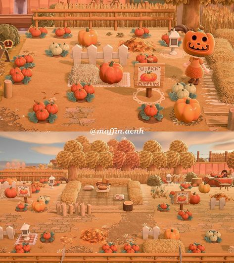 🤎 VANILLA 🍂 Pumpkin patch. Another one from the pumpkin patch because I still can't say goodbye to fall! For me, the Christmas season starts right after back Friday! And for you? ———————————————————————— 🪄 Preset is “forest” by @/ducklings_crossing ———————————————————————— 🧸 Special thanks for the support: @swagfroggychairs @t_bean_crossing_ @acbaby95 @acnh.moonrise.island @cosynique @yuki_animalcrossing @mossysapling @mads43acnh @the.cozy.gamer @stardust_horizons ~ Inactive partners not tag... Pumpkin Patch Anch, Acnh Fall Neighborhood, Puddle Acnh Code, Acnh Fall Festival, Pumpkin Patch Animal Crossing, Acnh Cephalobot, Acnh Fall Island Names, Fall Island Acnh, Fall Animal Crossing Ideas