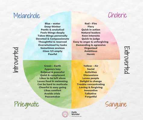 The Four Temperaments Temperament Types, Personality Types Chart, Four Temperaments, Dbt Activities, Relationship Exercises, Human Personality, Holistic Education, Four Elements, Type Illustration