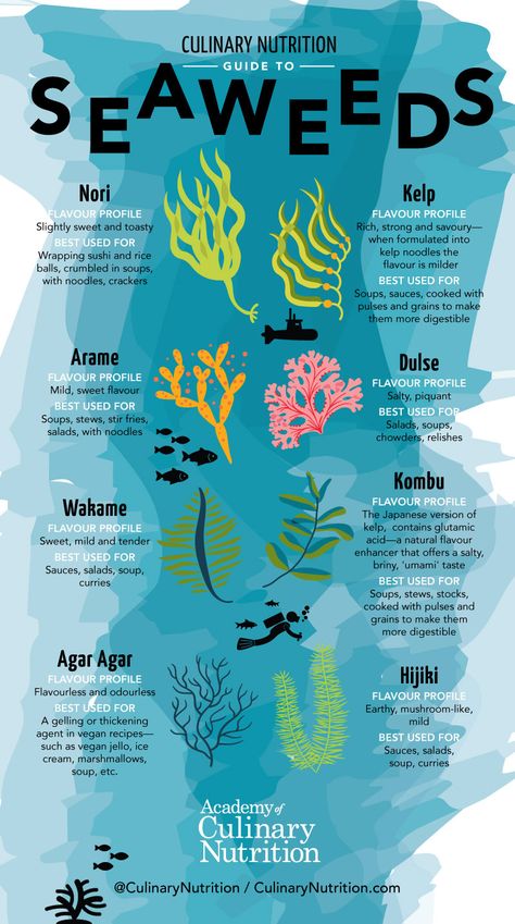 Guide to Seaweeds and Sea Vegetables + Recipes Marine Science, Sea Vegetables, Marine Creatures, Biology Notes, Marine Biologist, Oceanography, Nutrition Guide, Sea Moss, Food Help