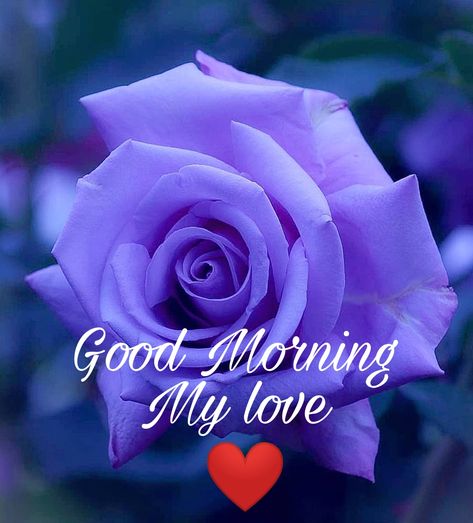 20+ Good Morning My Love HD image download – Shayari Ajj Kal Good Morning Sweetheart Images, Good Morning My Sweetheart, Good Morning Handsome Quotes, Morning My Love, Good Night Love Pictures, Love Good Morning, Good Morning Smiley, Good Morning Handsome, Good Morning Love Gif