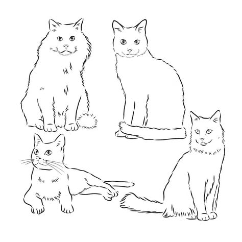 Premium Vector | Cats set vector illustration handdrawn cute fluffy cats domestic cat set Fluffy Cat Doodle, Fluffy Cat Illustration, Fluffy Cat Sketch, 2 Cats Drawing, Fluffy Cat Drawing, Cats Sitting Together, Cute Fluffy Cats, Vet Gifts, Cat Line Drawing