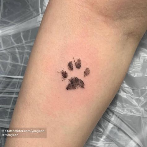 Forearm Paw Print Tattoo, Cat Tattoo Paw Print, Paw Tattoo Cat, Cat Paw Print Tattoo Ideas, Cat Nose Print Tattoo, Cat Pawprint Tattoo, Pawprint Tattoo Cat, Cat Tattoo Paw, Memorial Cat Tattoos