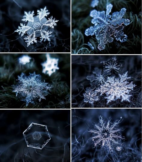 Magnified snowflakes! Stunning inspiration! www.ballabracelets.com #bracelet #jewelry #snow #winter #accessory #style #love Snowflakes Real, I Love Snow, Winter Schnee, Snow Crystal, I Love Winter, Ice Crystals, Winter Magic, Winter Beauty, Snow And Ice