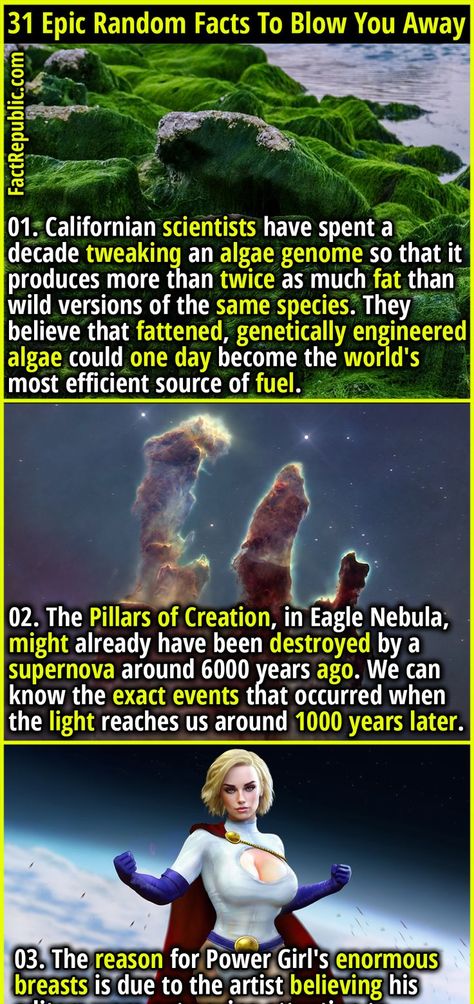 Epic Facts, Eagle Nebula, Science Knowledge, Ok Go, Fact Republic, Science Fact, Executive Branch, Intresting Facts, Wow Facts