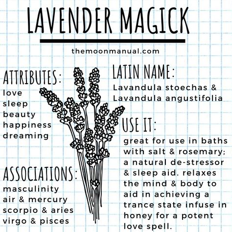 The Green Witch Diaries - Lavender - Wattpad Lavender In Witchcraft, Lavender Spells, Lavender Witchcraft Uses, Lavender Witchcraft, Modern Farmhouse Kitchen Decor Ideas, Witch Diary, Plant Magick, Herb Magick, Lavender Witch