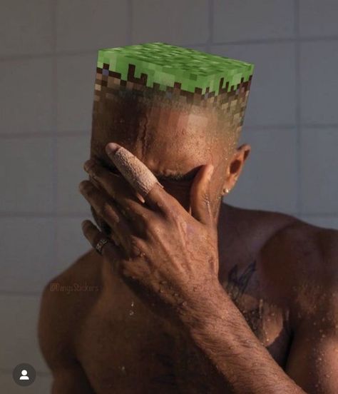 Frank Ocean Songs, Frank Ocean Wallpaper, Odd Future, Minecraft Memes, December 31, Frank Ocean, Tyler The Creator, Really Funny Pictures, Reaction Pictures