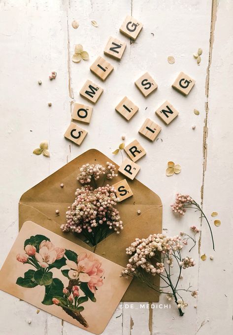 Dried flowers in an envelope. The inscription spring is coming Spring Flatlay, Diy Envelope, Flat Lay Photography, Spring Aesthetic, Spring Is Coming, Spring Flowers, Dried Flowers, Envelope, Gift Wrapping