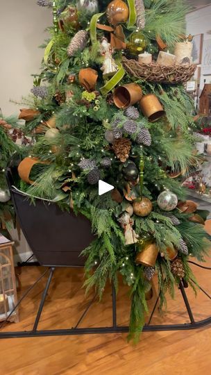 20K views · 1.5K reactions | How stunning is this @raz_imports Christmas theme. The all natural look with the gorgeous magnolia foliage and moss green velvet ribbon is spectacular. Can’t wait to share more from the RAZ showroom at the @americasmartatl 
.
.
.
#atlmkt #christmasdecorations🎄 #christmasdecor #christmastree #christmastrees #instachristmas #designer #christmasseason #christmas2024 #christmastime | Ramon - at HOME Magnolia Foliage, Raz Imports Christmas, Green Velvet Ribbon, Tree Inspiration, Raz Imports, Elegant Christmas Trees, Christmas Tree Inspiration, Elegant Christmas, Christmas Theme