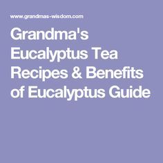 Grandma's Eucalyptus Tea Recipes & Benefits of Eucalyptus Guide Benefits Of Eucalyptus, Cholesterol Friendly Recipes, Home Pest Control, Teas Recipes, Herbal Tea Garden, Tea For Colds, Fennel Tea, Lemon Balm Tea, Cockroach Control