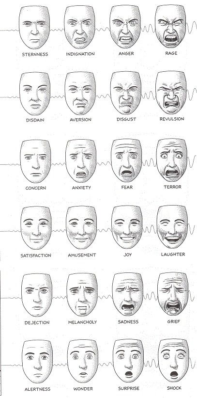 Visual aid to help describe facial expressions in literature. Animal Illustrations, Drawing Tips, 얼굴 드로잉, 얼굴 그리기, 인물 드로잉, Face Expressions, Art Instructions, Drawing Lessons, Facial Expressions